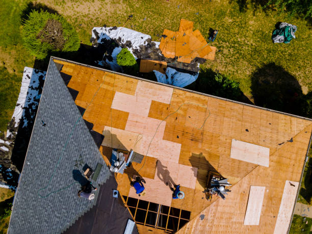 Best Metal Roofing Contractor  in Martinsville, VA