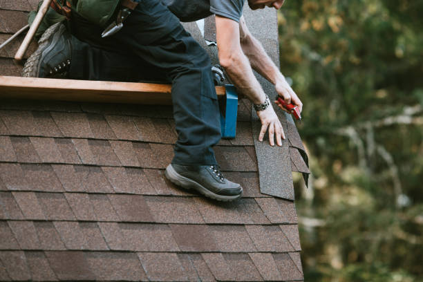 Best Roof Gutter Cleaning  in Martinsville, VA